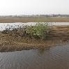   Bamako Mali Picture gallery