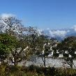 Thimphu Bhutan Holiday Adventure Blog Photo
