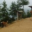 Thimphu Bhutan Holiday Adventure Blog