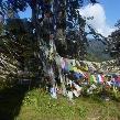 Thimphu Bhutan Holiday Adventure Photo Sharing