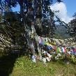 Thimphu Bhutan 