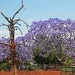 Johannesburg South Africa 