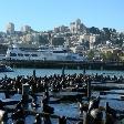 Pier 39 San Francisco United States Vacation Pictures