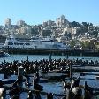 Pier 39 San Francisco United States Vacation Pictures