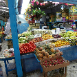   Mazatlan Mexico Trip Photographs