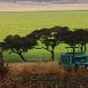 Beautiful scenery in Tarangire NP