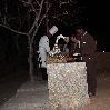 Buffet dinner Treetops Tarangire NP