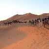   Merzouga Morocco Picture Sharing