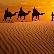 4 Days & 3 Nights Desert Tour From Fez Tangier Morocco Travel Photos