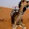 4 Days & 3 Nights Desert Tour From Fez Tangier Morocco Vacation Guide