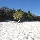 The beautiful sand of Lake McKenzie beach Australia
