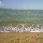 Ocean view at Townsville beach Australia