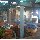 Good hostel in Knysna, South Africa South Africa