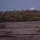 The mangroves at sunset Australia