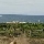 The Gannet birds from the lookout Australia