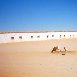 Pictures of Western Algeria Algeria Africa