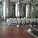 Tour to the Mendoza wineries Argentina