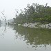 Sundarbans National Park, Bangladesh Bangladesh Asia