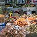 Shopping at the local market in Kuwait City Kuwait Middle East