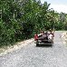 From Wewak to the beach Papua New Guinea Oceania