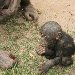  Democratic Republic of the Congo