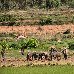  Madagascar