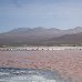  Chile