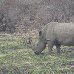  South Africa