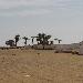  Western Sahara