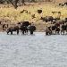  South Africa