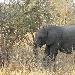  South Africa