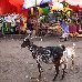  Comoros Africa
