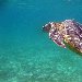  Mayotte Africa