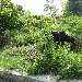  Mayotte Africa