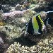  Mayotte Africa