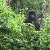  Rwanda Africa