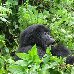  Rwanda Africa