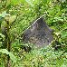  Rwanda Africa