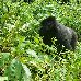  Rwanda Africa