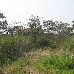  Burundi Africa