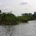  Republic of the Congo Africa