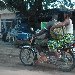  Togo Africa