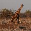  Namibia Africa