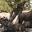  Namibia Africa