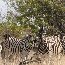  Namibia Africa