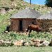  Lesotho Africa