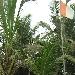  Cote d'Ivoire Africa