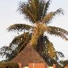  Mali Africa