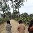 Arabica Coffee Bean Plantation Arusha Tanzania